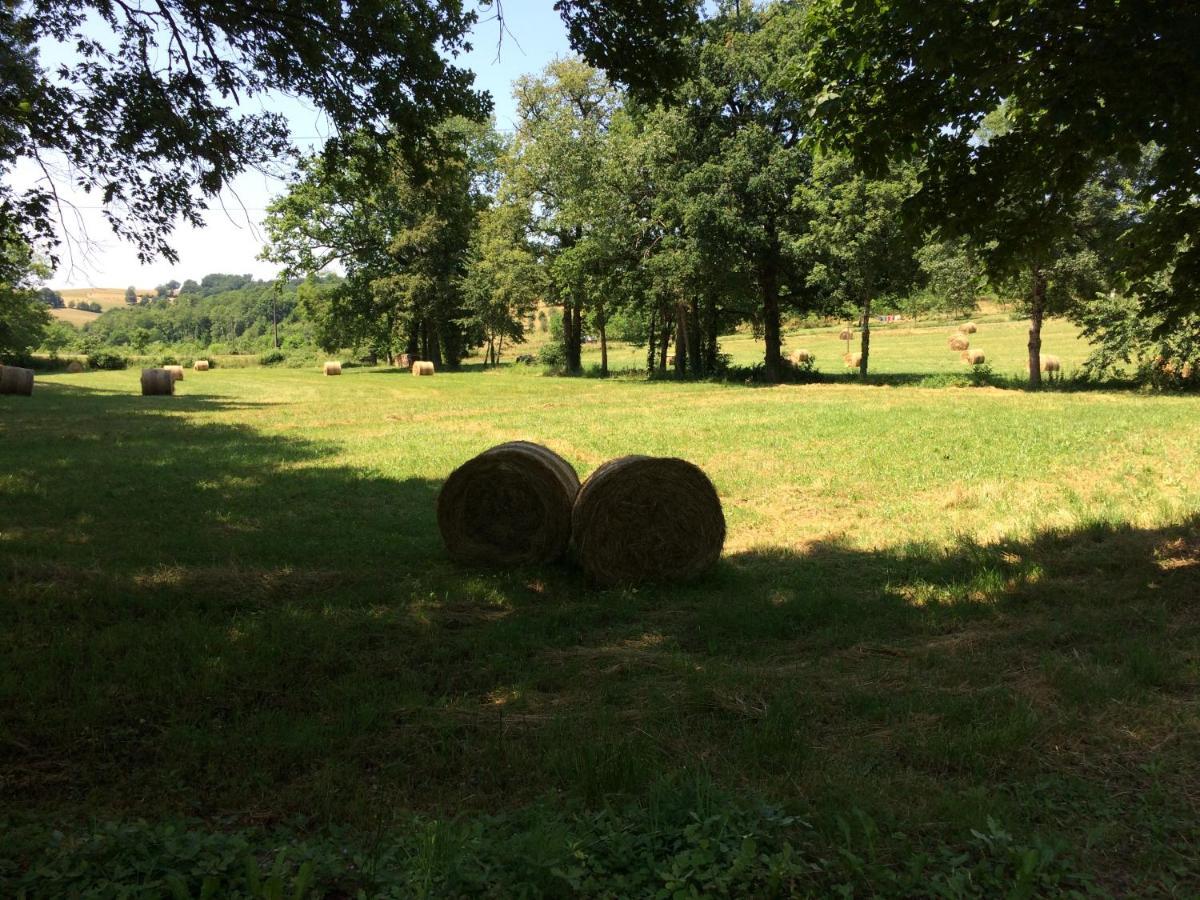 La Roussille - Oak Barn Villa Saint-Sulpice-d'Excideuil Екстериор снимка